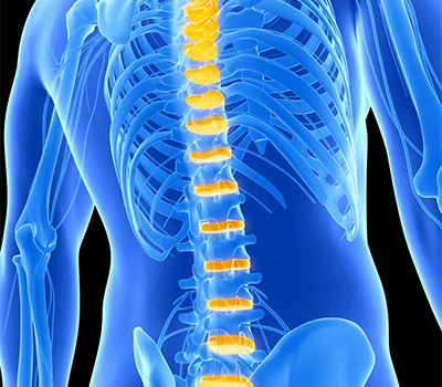 Gwyddor Cymorth i'r Asgwrn Cefn: Sut mae Xianku yn Asesu Scoliosis, Gogwydd Pelfis ac Osgo